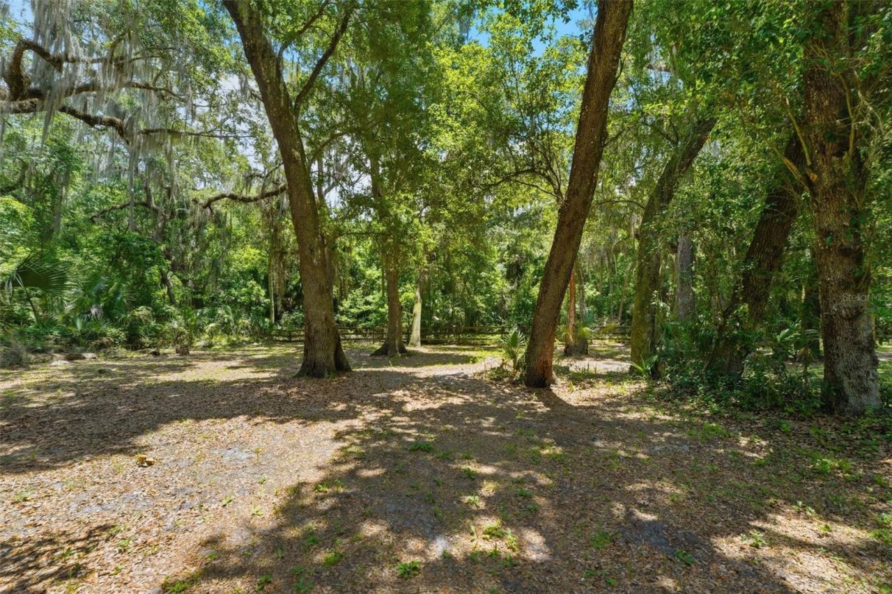 381 N Jungle Road, Geneva, FL 32732 Photo