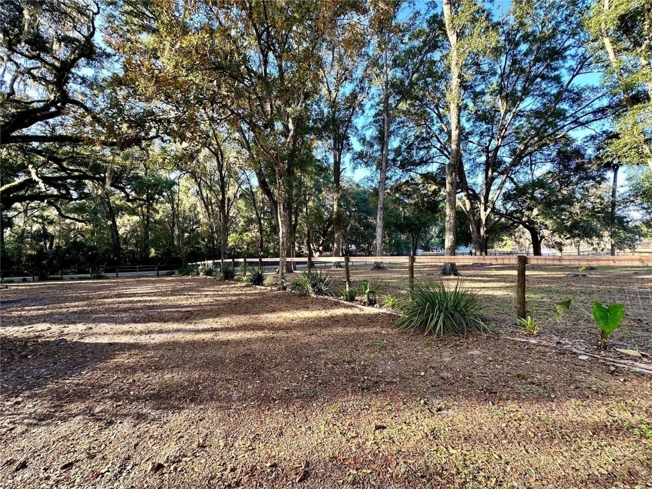 13565 NE 38th Avenue , Anthony, FL 32617 Photo