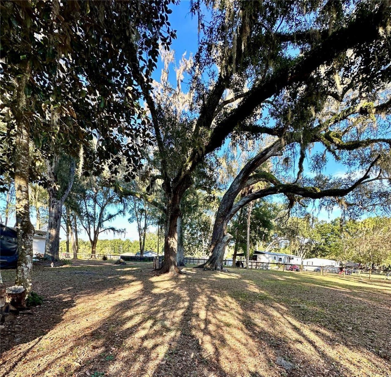 13565 NE 38th Avenue , Anthony, FL 32617 Photo