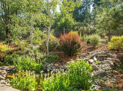 566 Main Ranch Road, Quincy, CA 00000 Photo