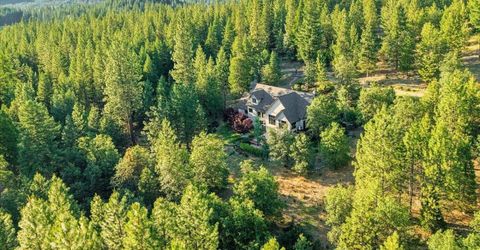 566 Main Ranch Road, Quincy, CA 00000 Photo