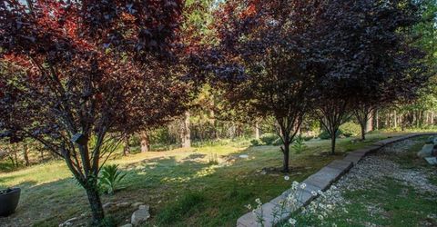 566 Main Ranch Road, Quincy, CA 00000 Photo