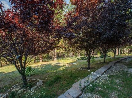 566 Main Ranch Road, Quincy, CA 00000 Photo