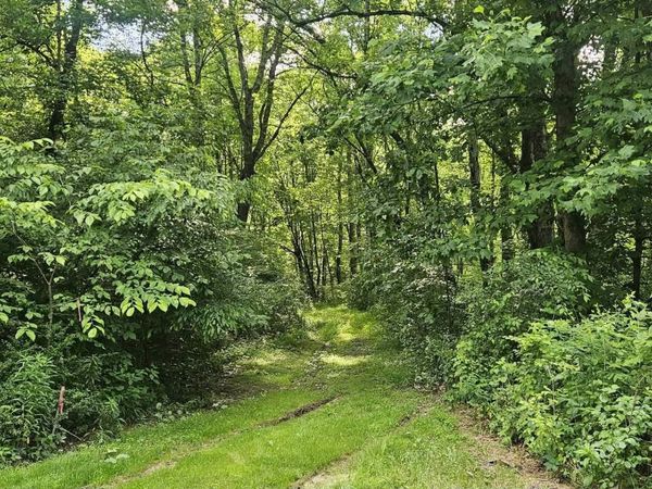 School Street, Farmington, WV 26571
