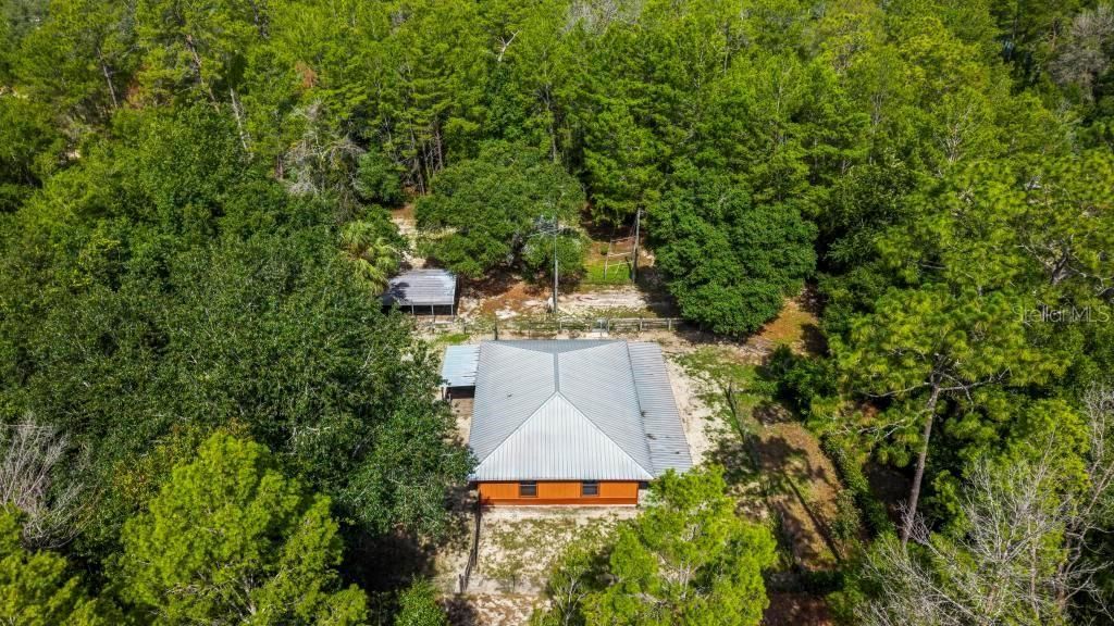 24607 Polar Bear Road, Paisley, FL 32767 Photo