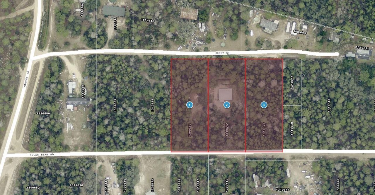 24607 Polar Bear Road, Paisley, FL 32767 Photo