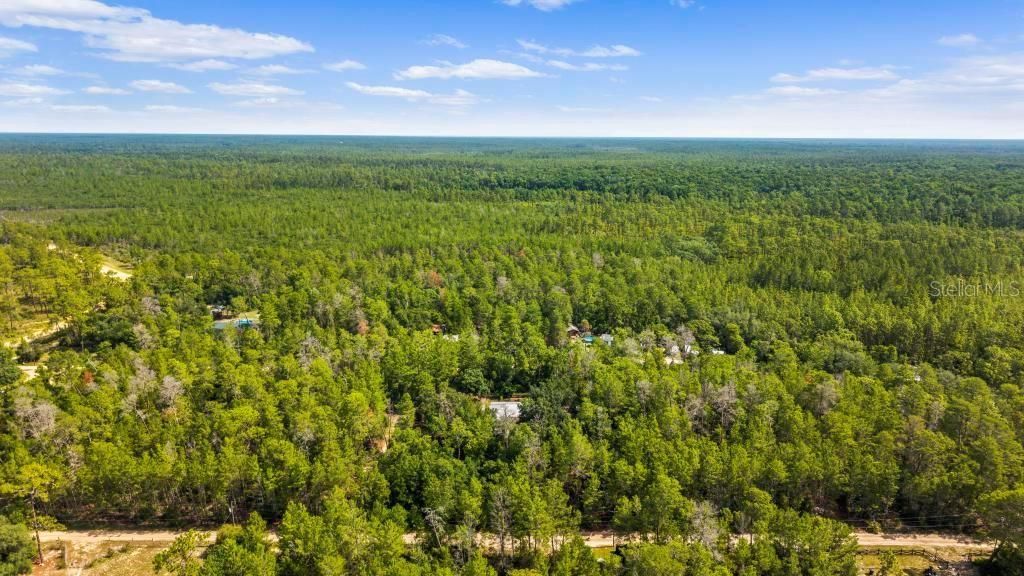 24607 Polar Bear Road, Paisley, FL 32767 Photo