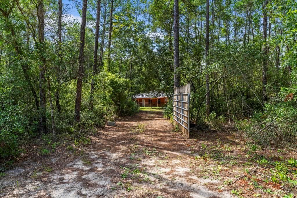 24607 Polar Bear Road, Paisley, FL 32767 Photo