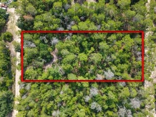 BERRY STREET , PAISLEY, FL 32767