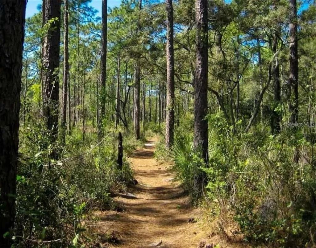 Berry Street , Paisley, FL 32767 Photo