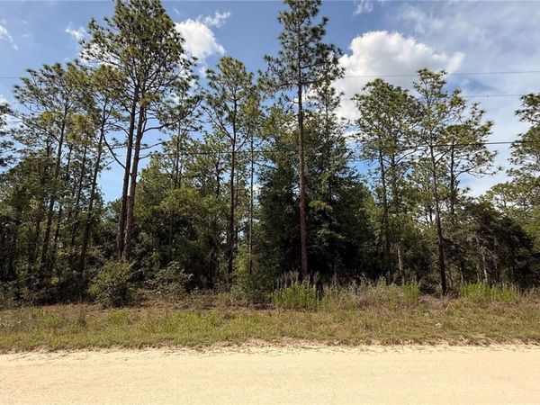 UNDETERMINED , DUNNELLON, FL 34432