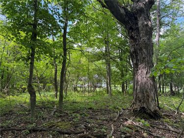VL Reed Road, Dansville, NY 14437