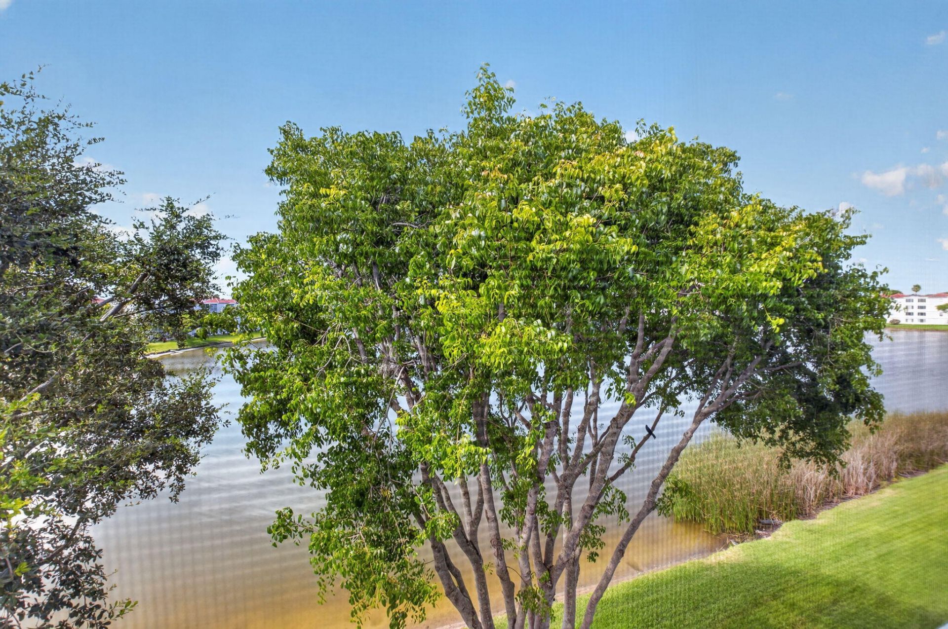 6080 Huntwick Terrace, Unit 405, Delray Beach, FL 33484 Photo