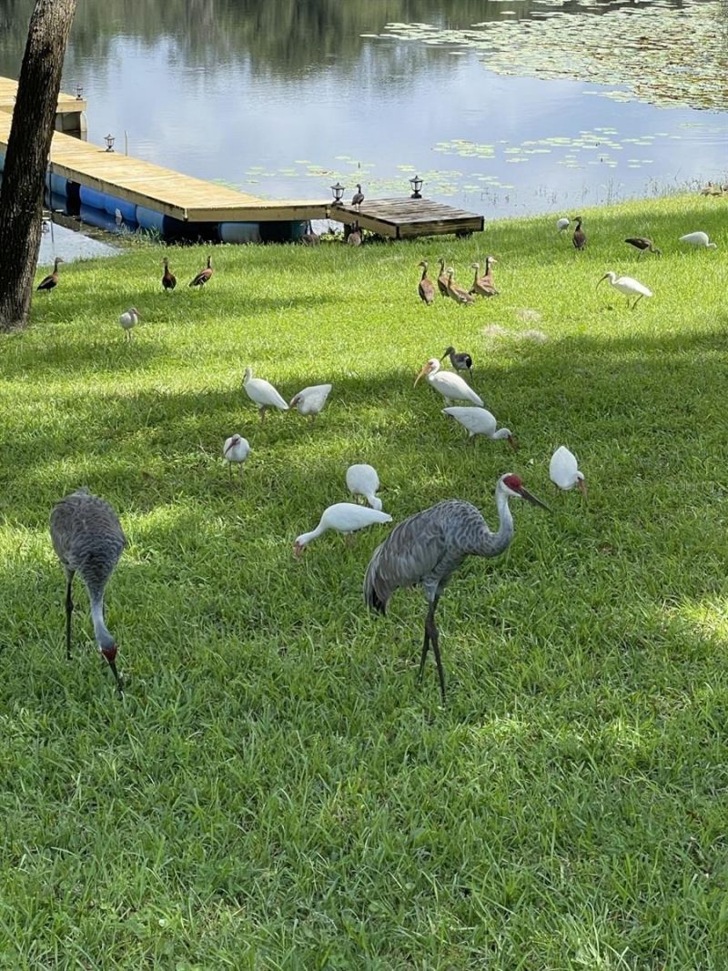 210 Westlake Drive, Lake Helen, FL 32744 Photo