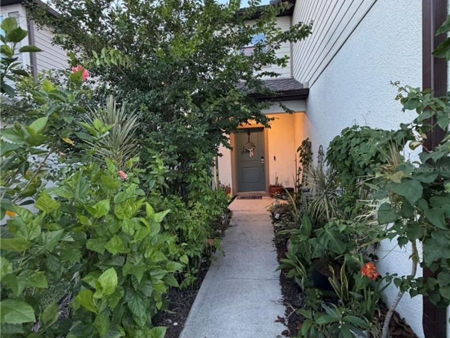 Property Image 49