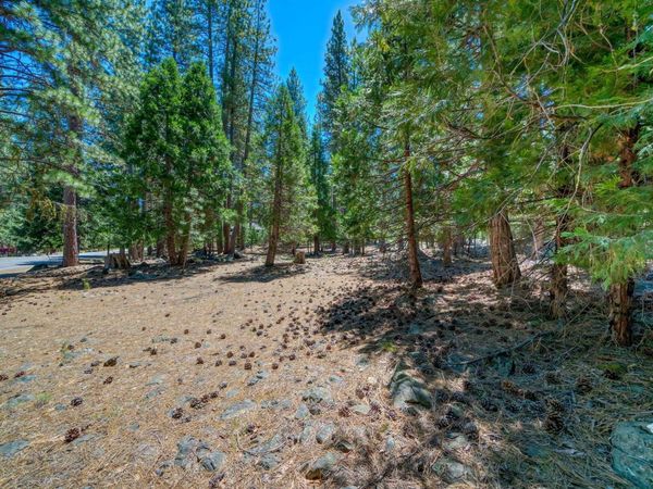 43 Tolowa Trail, Graeagle, CA 96103