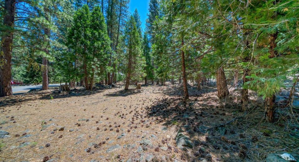 43 Tolowa Trail, Graeagle, CA 96103 Photo