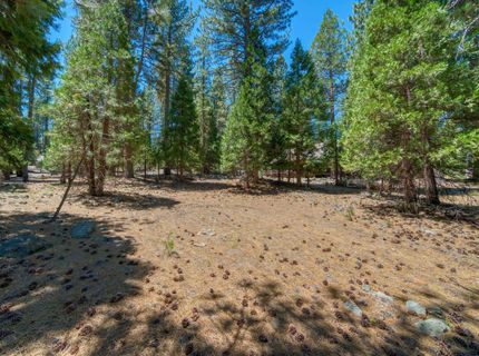 43 Tolowa Trail, Graeagle, CA 96103 Photo