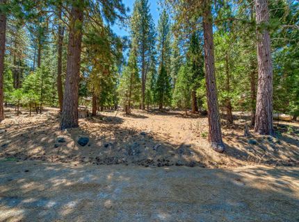43 Tolowa Trail, Graeagle, CA 96103 Photo