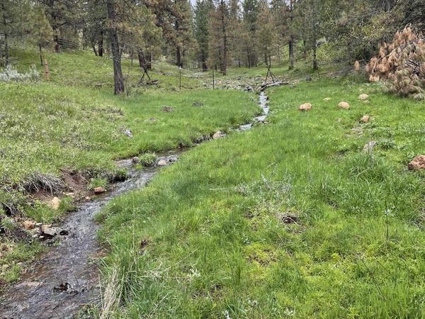 TBD Fruitvale Glendale Rd, Council, ID 83612