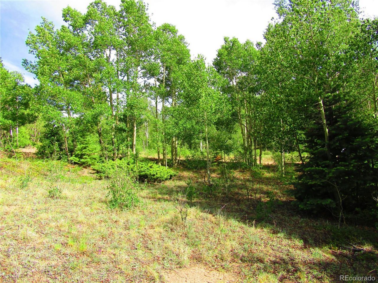 Lot 6093 Forbes Road, San Luis, CO 81152 Main Photo