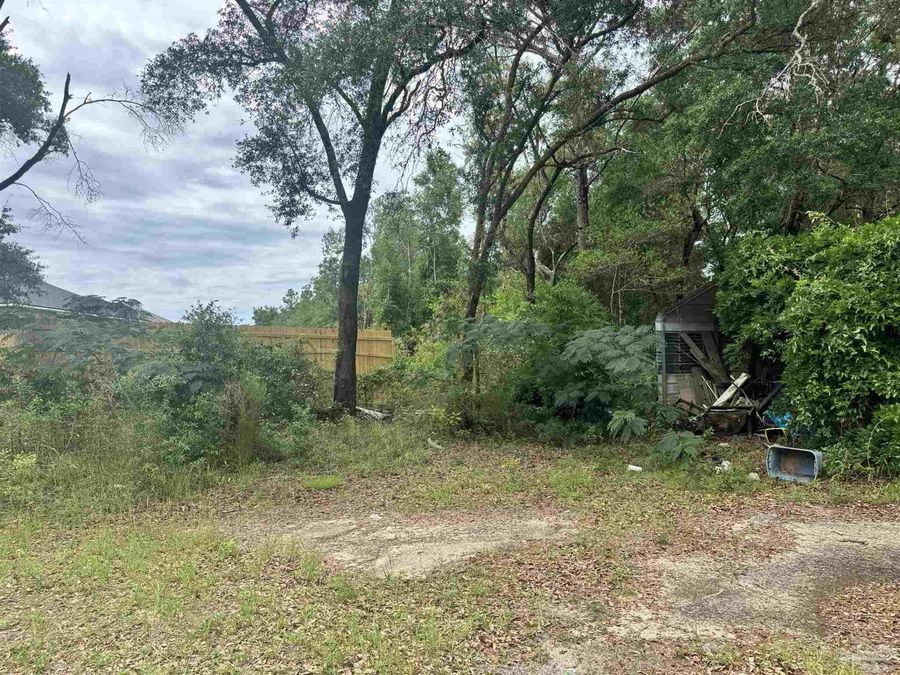 Property Image 45