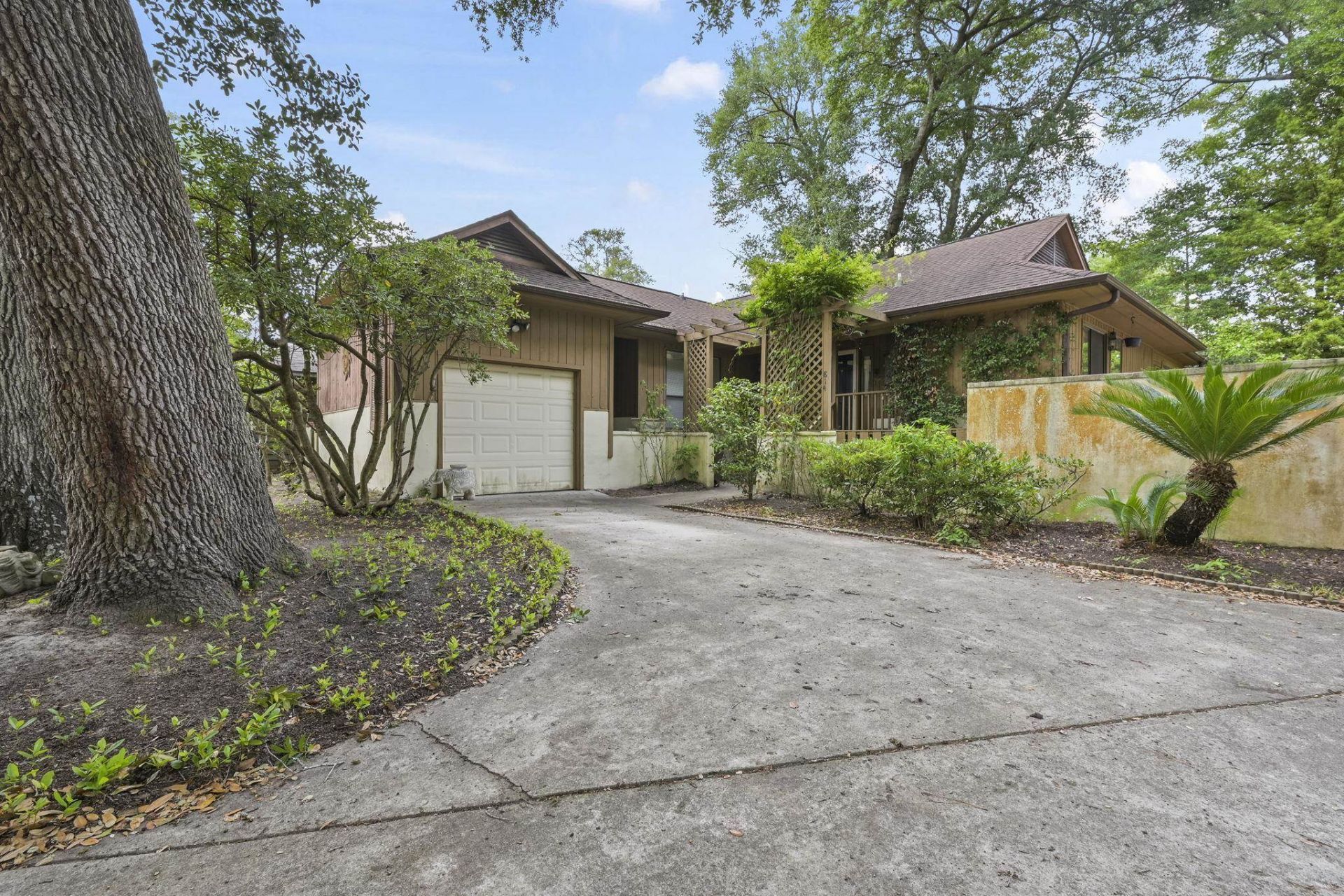 814 Willow Trace Photo 41