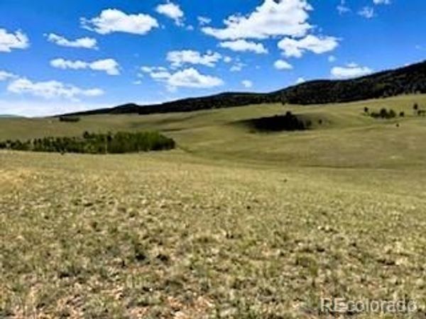 25 Sulky Court , Hartsel, CO 80449