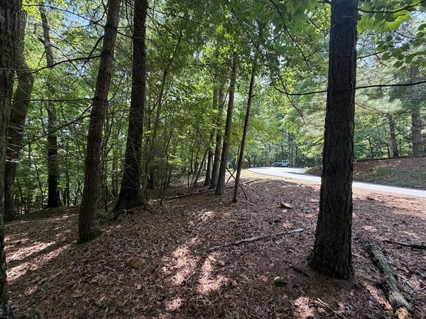 3545 Newport Drive, Ellijay, GA 30540