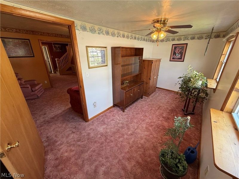 317 N 1st Street, Dennison, OH 44621 Photo 21