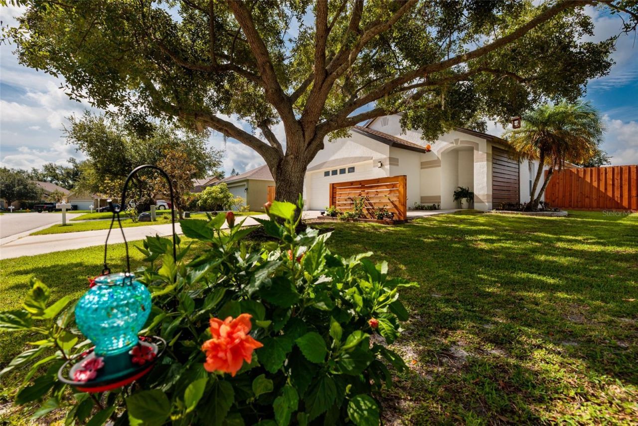 4909 70th Street E, Palmetto, FL 34221 Photo