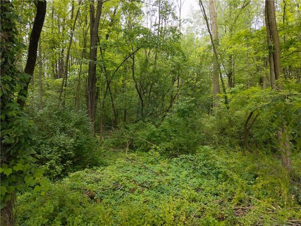 Butler Avenue , Seneca Falls, NY 13148