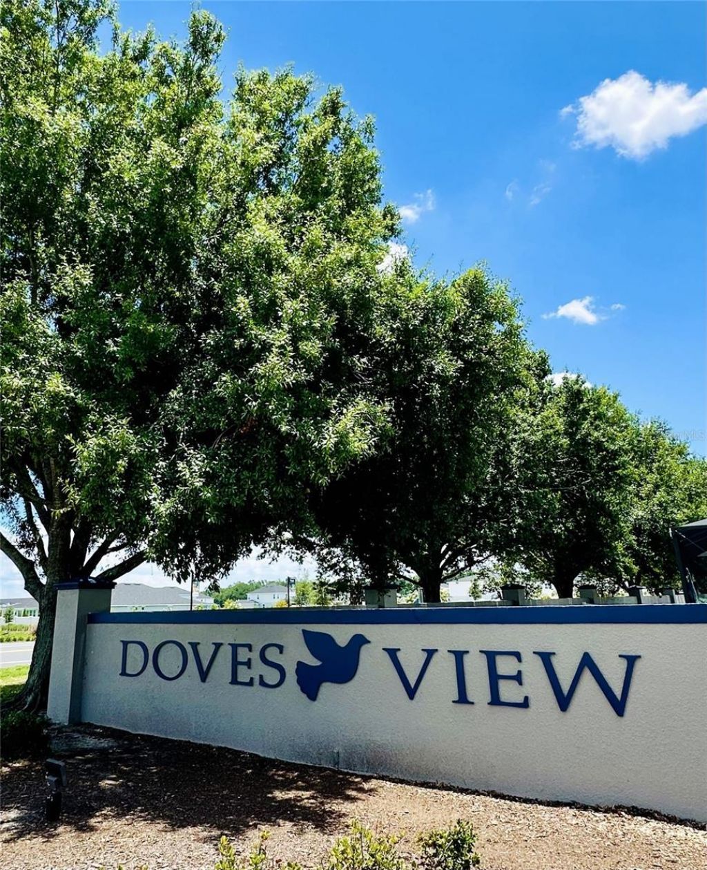 1590 Doves View Cir, Auburndale, FL 33823 Photo
