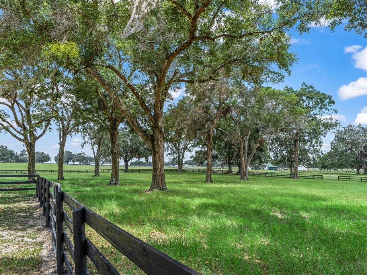 12941 SW 8th Avenue, Ocala, FL 34473 Photo