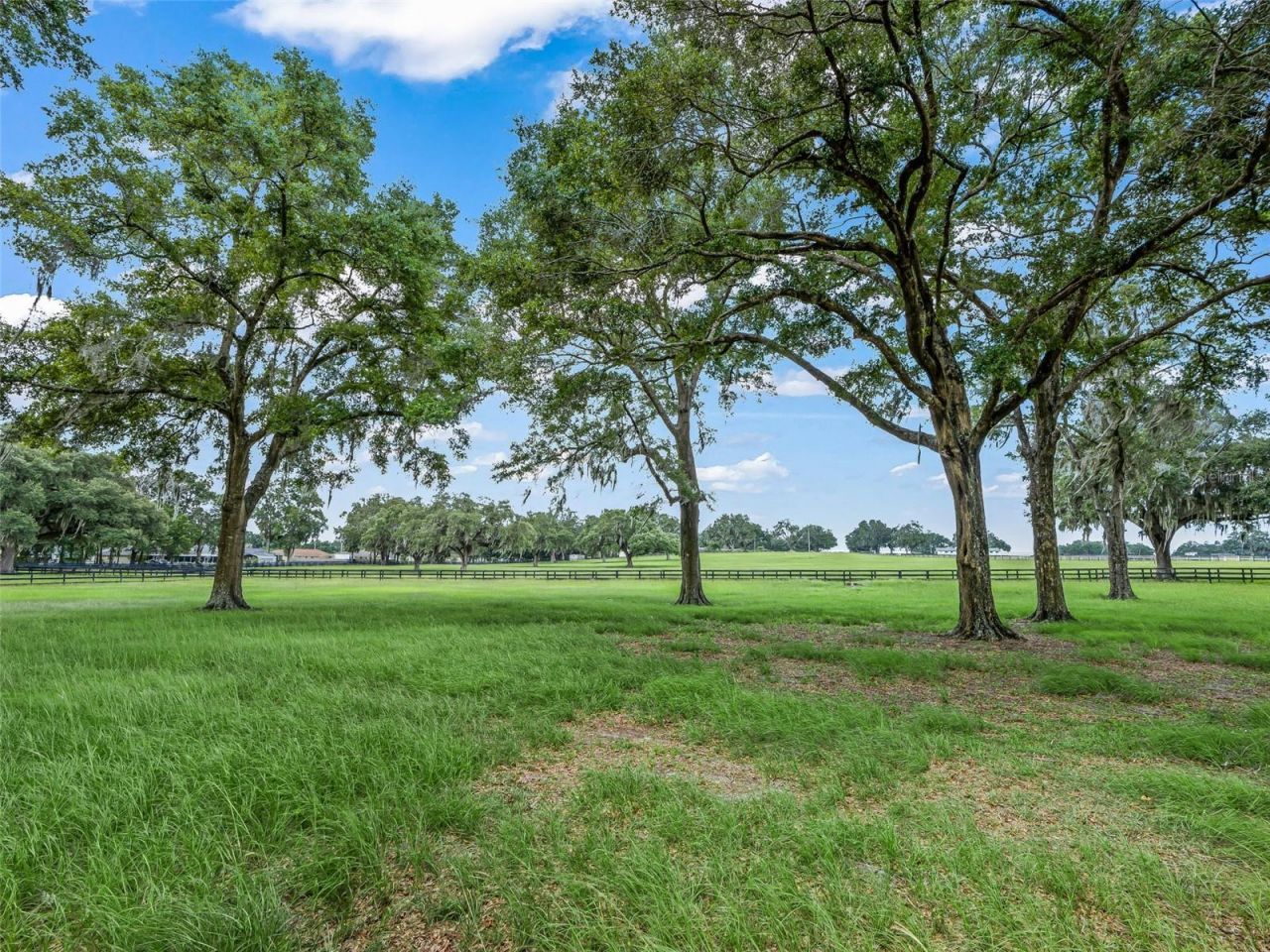 12941 SW 8th Avenue, Ocala, FL 34473 Photo