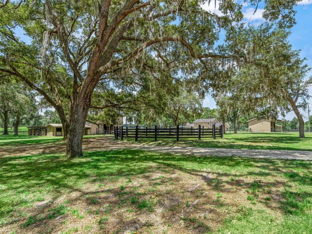 12941 SW 8th Avenue, Ocala, FL 34473 Photo