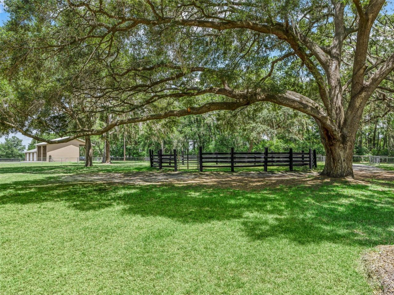 12941 SW 8th Avenue, Ocala, FL 34473 Photo