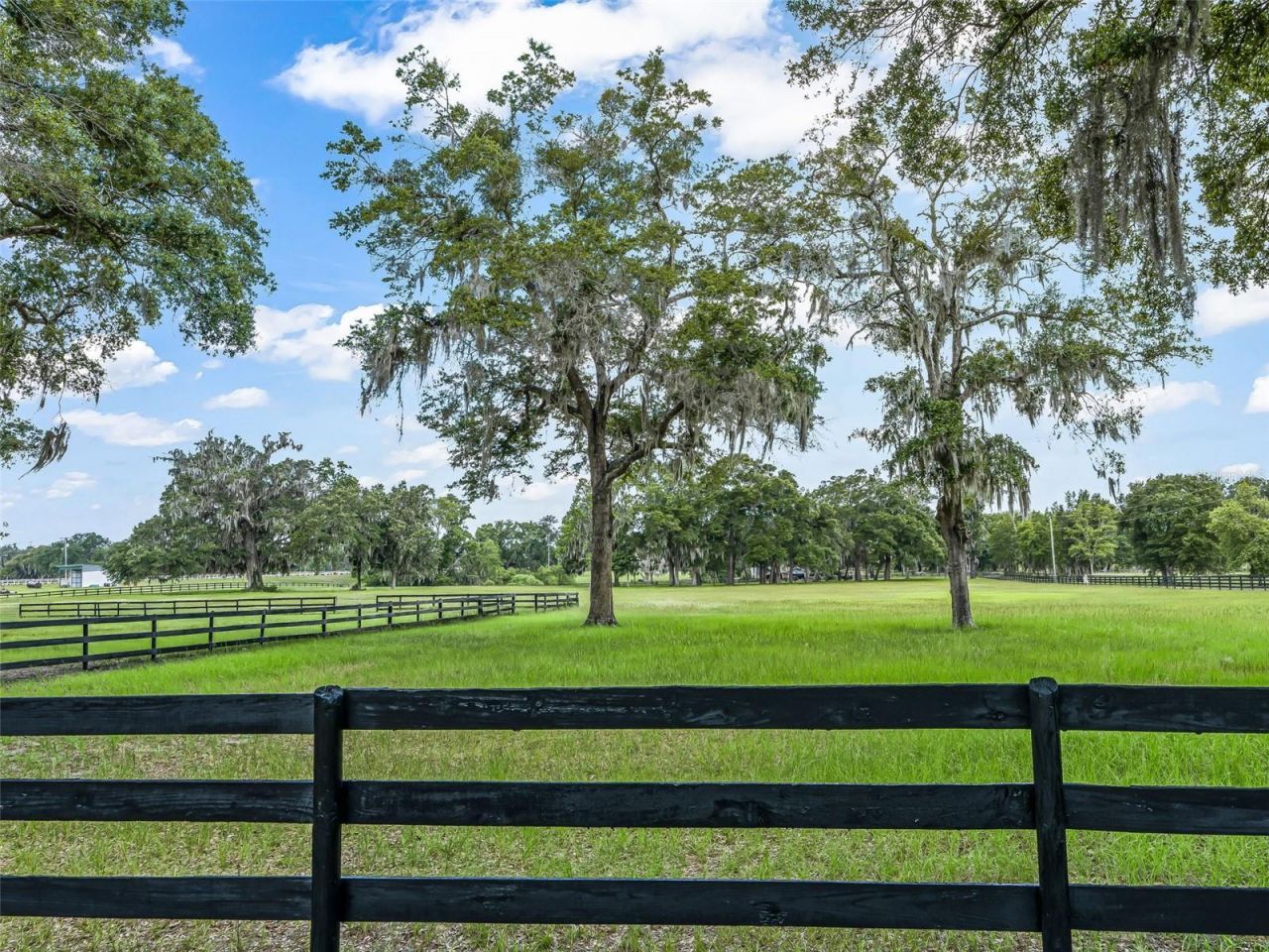 12941 SW 8th Avenue, Ocala, FL 34473 Photo