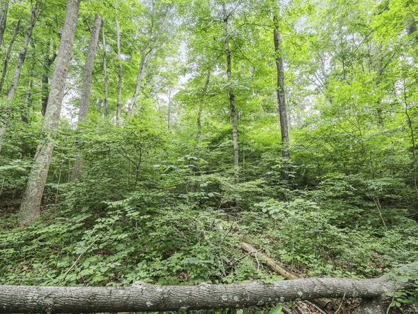 21671 Chilcote Road , South Bloomingville, OH 43152