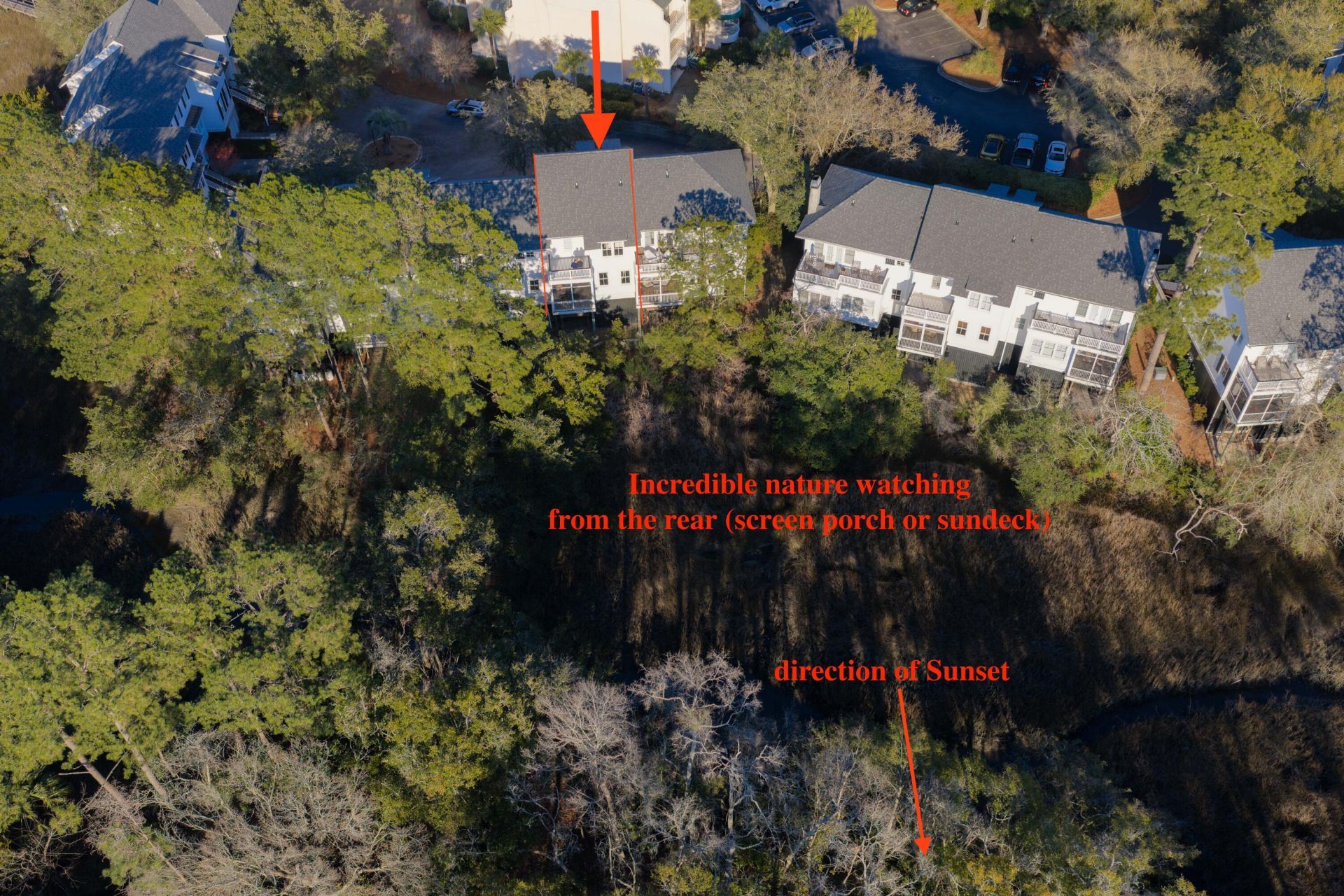 115 Wappoo Landing Circle Photo 5