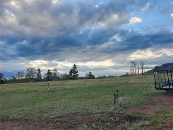 3243 County Road 86 , Victor, CO 80860
