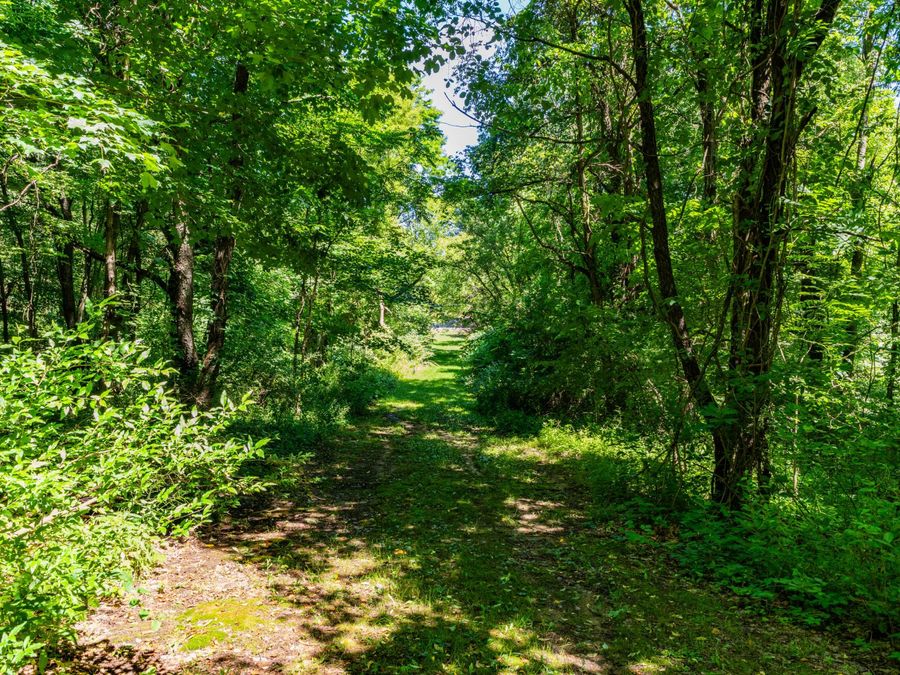 Property Image 60