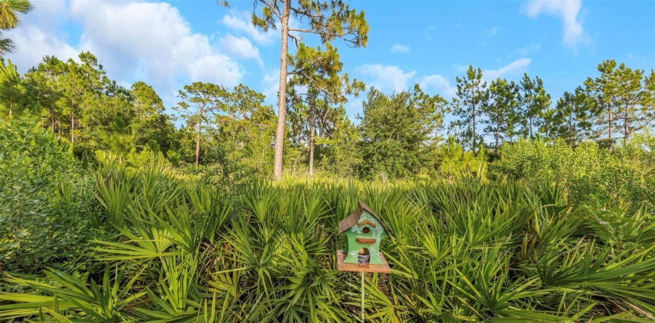 4042 Woodland Retreat Boulevard, New Port Richey, FL 34655 Photo