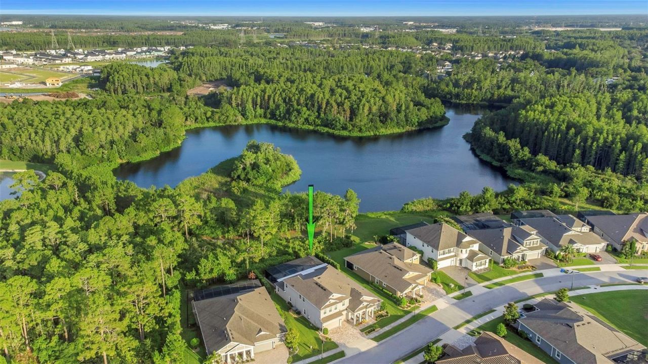 4042 Woodland Retreat Boulevard, New Port Richey, FL 34655 Photo