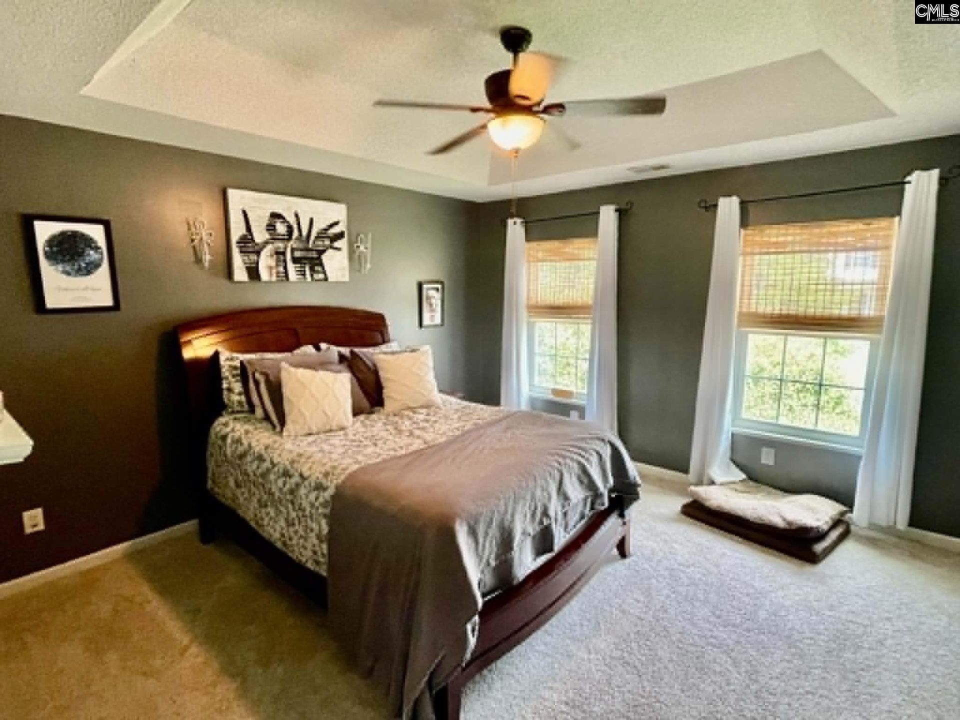 229 Stoney Pointe Drive  Photo 11