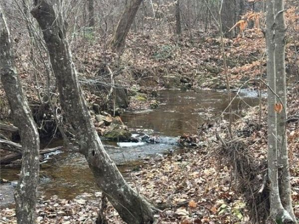 TBD Perkins Mill Road , Dillwyn, VA 23936