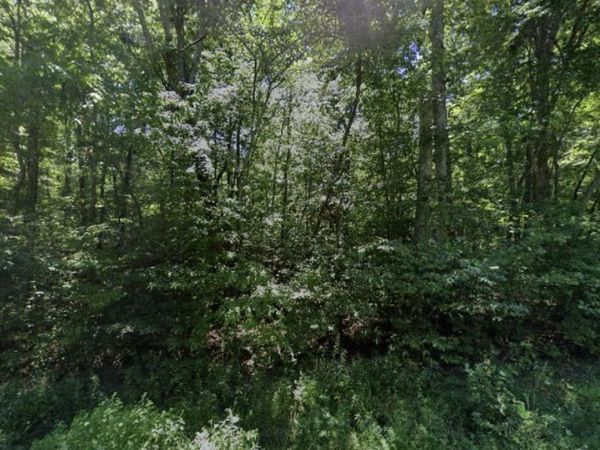 6115 Pocahontas Lane, Crossville, TN 38572