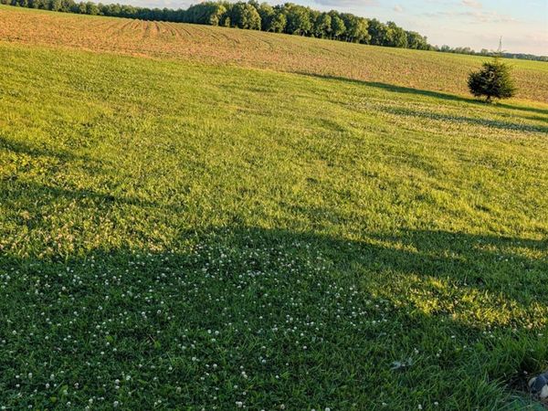 0 Auburn Center Road, Tiro, OH 44887
