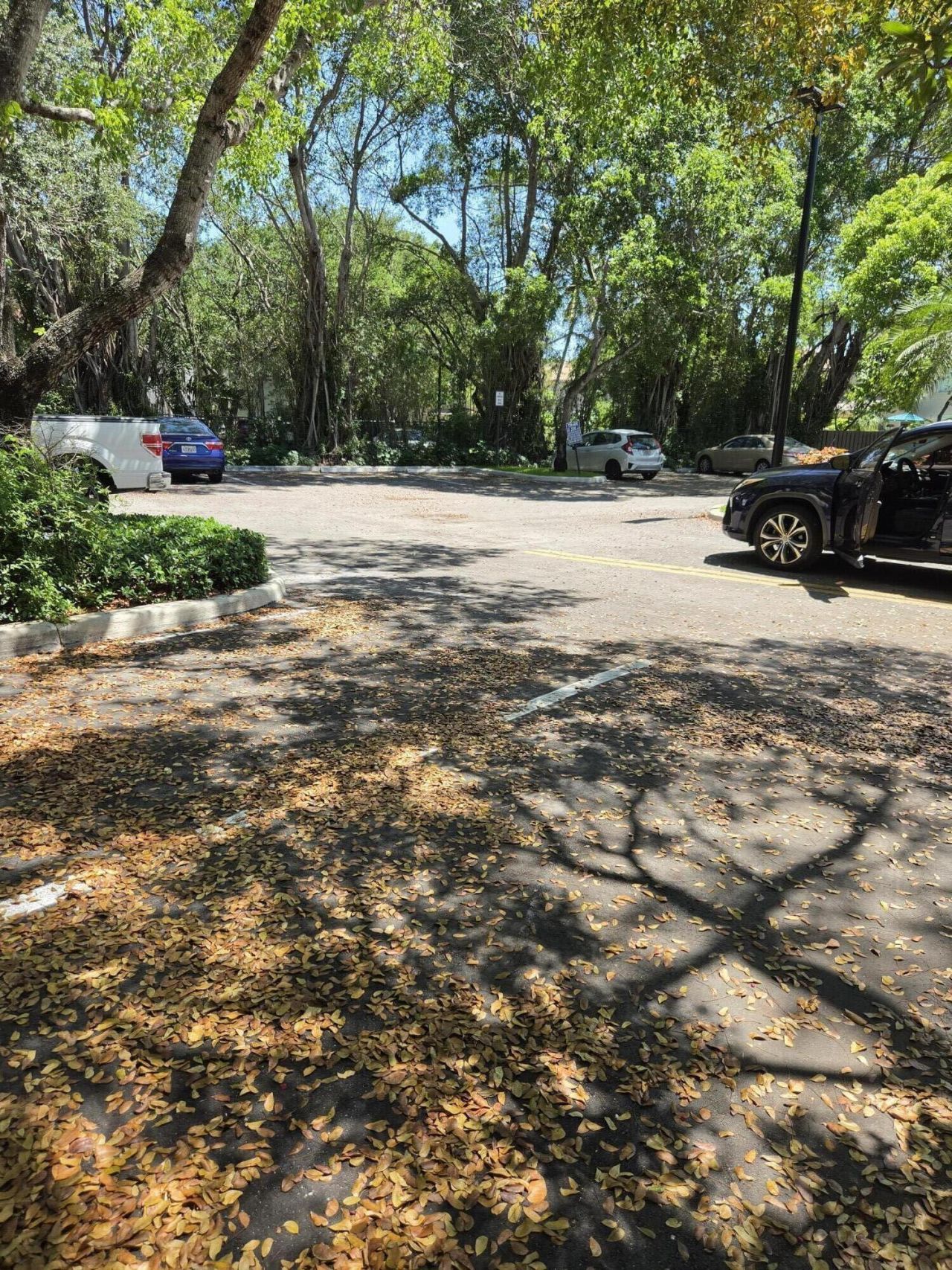 10900 NW 12th Drive, Plantation, FL 33322 Photo