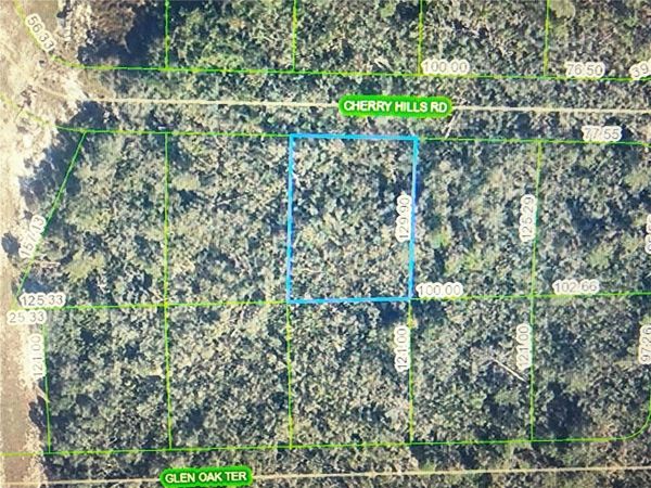 2917 CHERRY HILLS ROAD , SEBRING, FL 33875